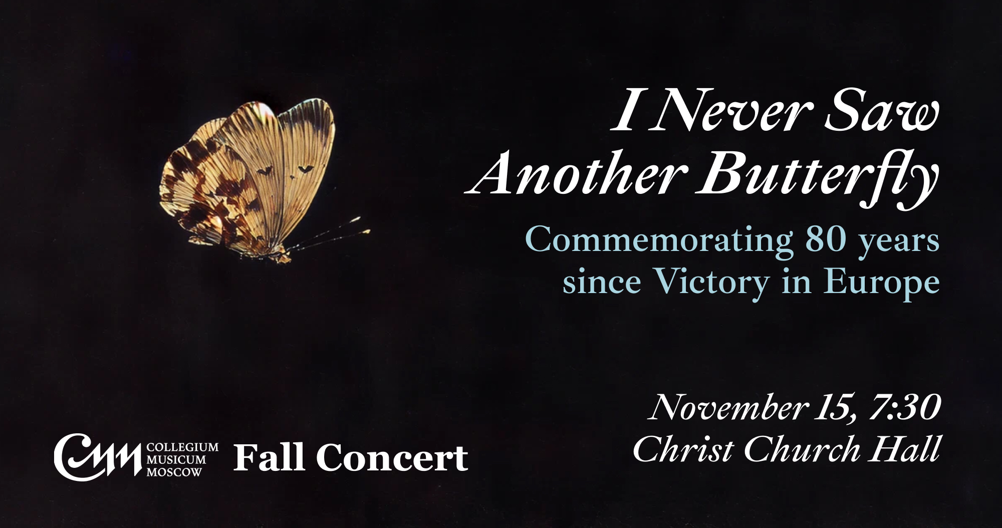 I never saw another butterfly